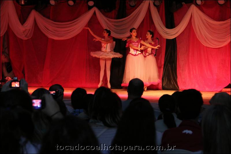 tocadocoelhotapera_4609.jpg