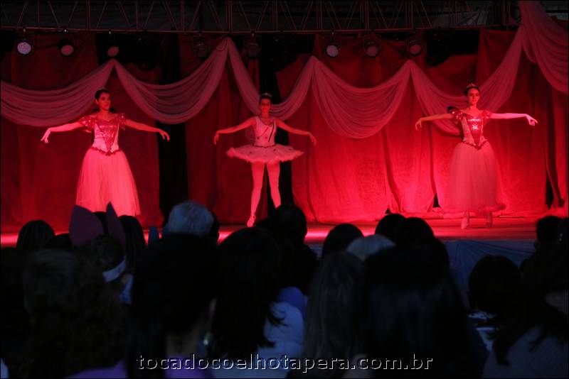 tocadocoelhotapera_4612.jpg