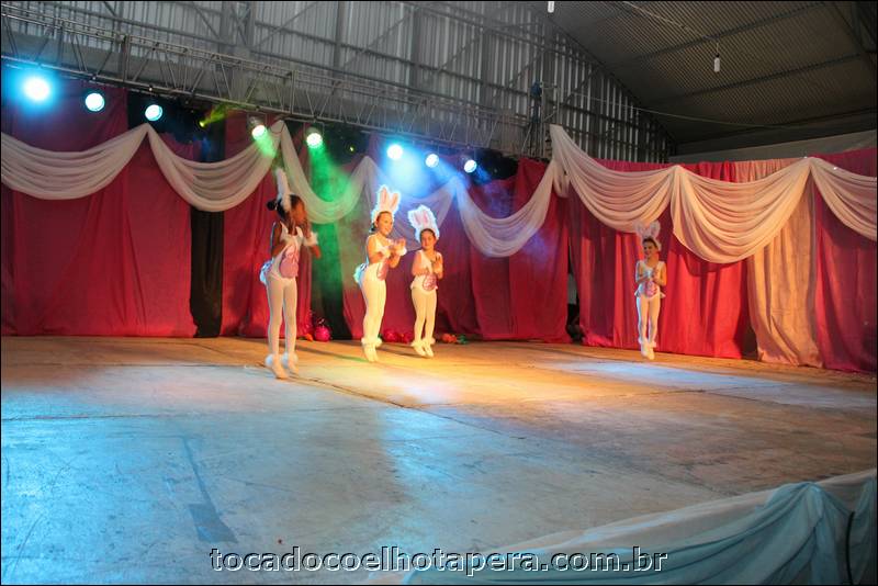 tocadocoelhotapera_4617.jpg