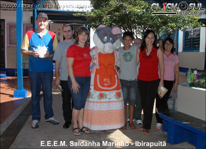 e.e.e.m._saldanha_marinho_-_ibirapuita.jpg